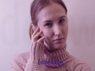 Erlinefudge