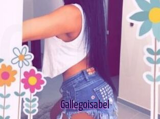 Gallegoisabel