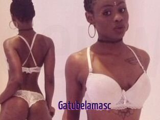 Gatubela_masc