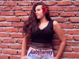 Gabyharvey