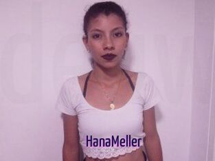 HanaMeller