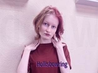 Hollisbowring