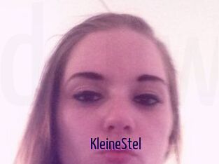 KleineStel