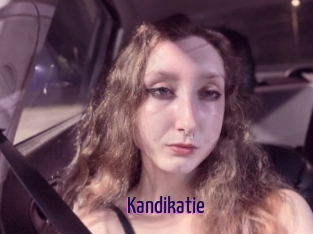 Kandikatie