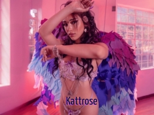 Kattrose