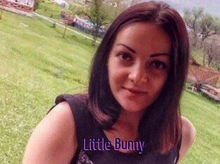 Little_Bunny_