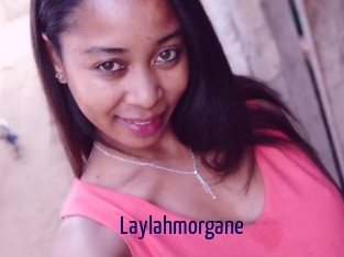 Laylahmorgane