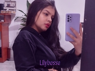 Lilybosse