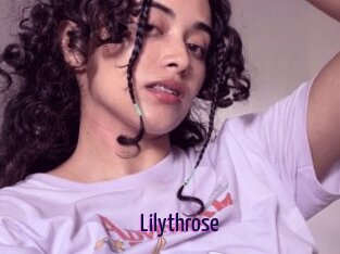 Lilythrose