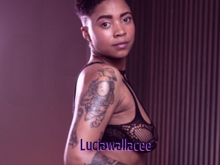 Luciawallacee