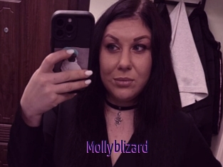 Mollyblizard