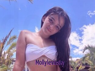 Mollylevinsky