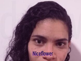 Nice_flower