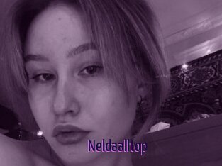 Neldaalltop