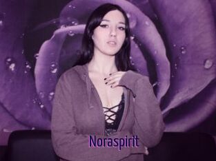 Noraspirit