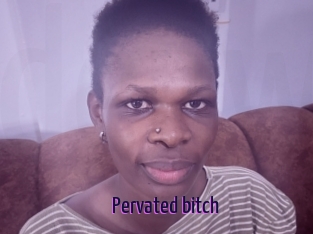 Pervated_bitch