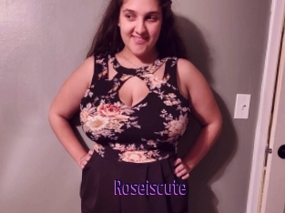 Roseiscute