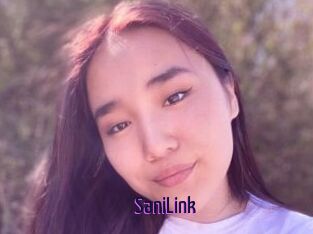 SaniLink