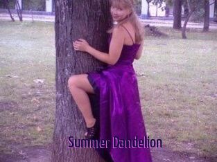 Summer_Dandelion