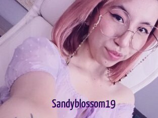 Sandyblossom19