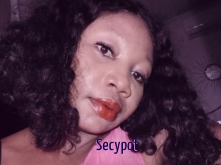 Secypot