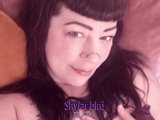 Skylar_bird