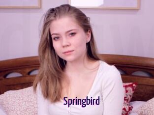 Springbird