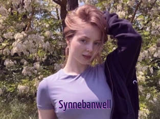 Synnebanwell