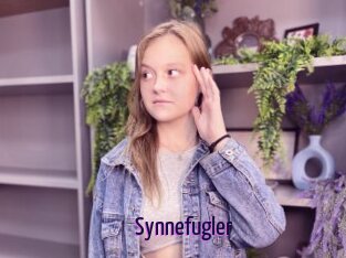 Synnefugler