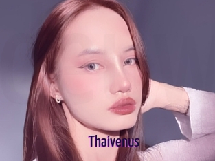 Thaivenus