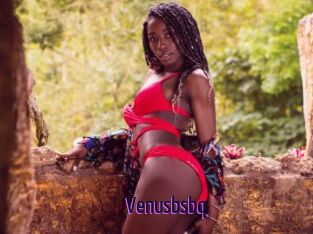 Venusbsbq