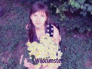 Wildcumster