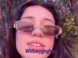 Whitneygleghorn