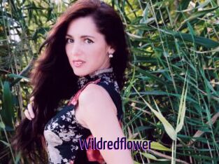 Wildredflower