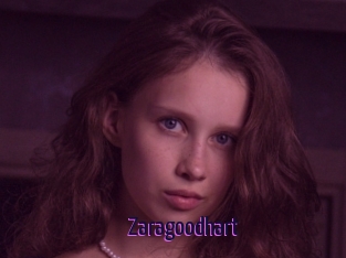 Zaragoodhart