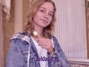 Zeldacatts